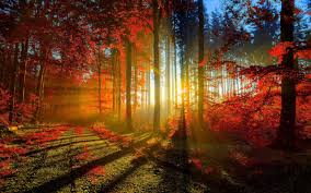 Photo 497038