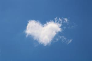 Photo 713020